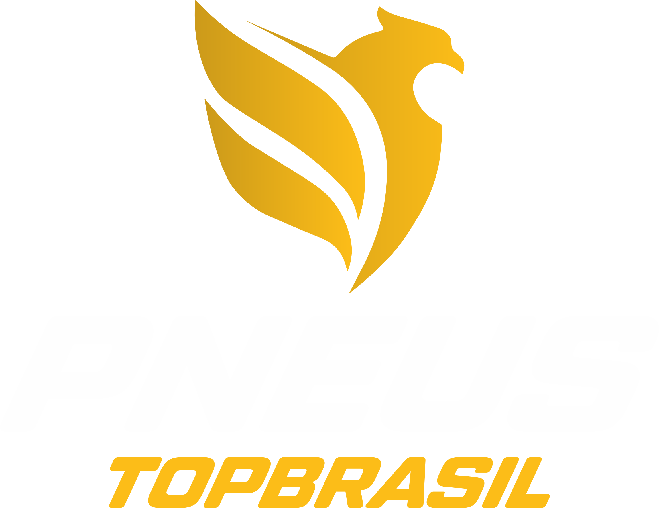PNEUS TOPBRASIL NOVA MARCA 2